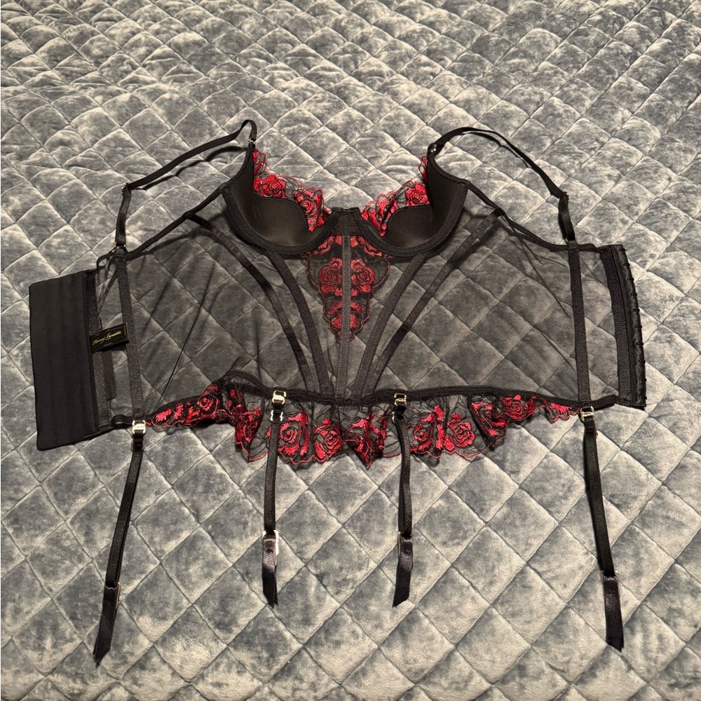 Honey Birdette Bonita Bustier (NEW) - Picture 5 of 8